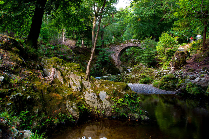 Tollymore Forset - Mourne Mountains - Narnia inspitation