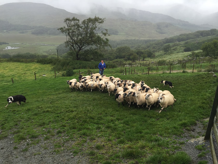 Connemara Family Travel Experiences in Ireland