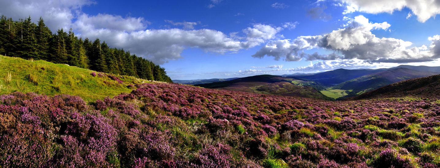 National Parks of Ireland - Wicklow National Park