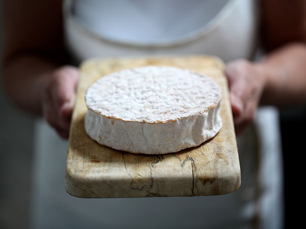 Irish Cheese