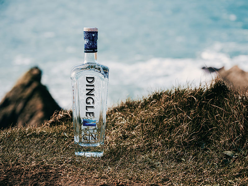 Guide to Irish Gins Wilderness Ireland