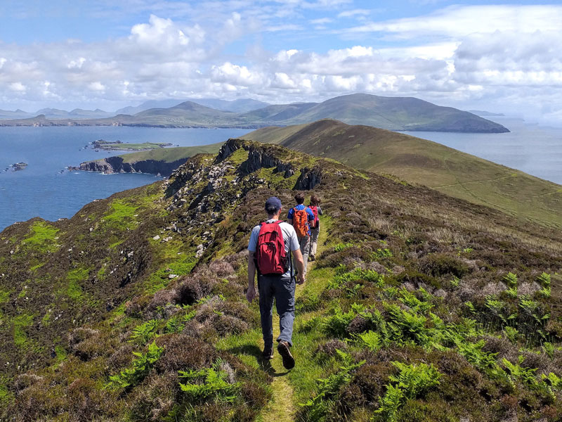 Blasket Islands Dingle hiking