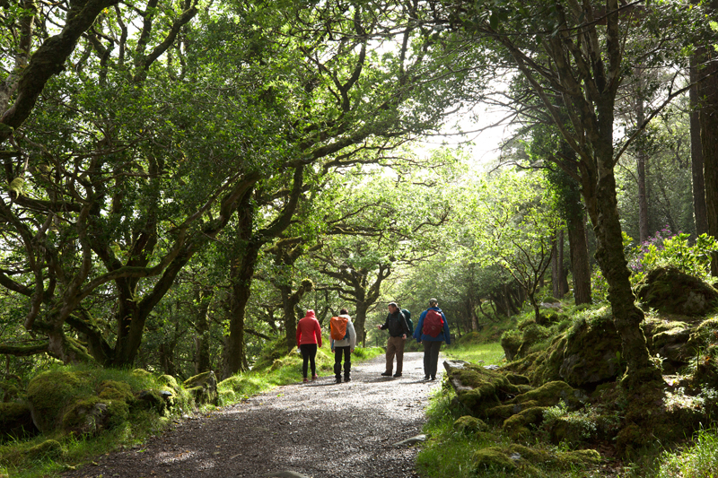 Hiking Killarney National Park