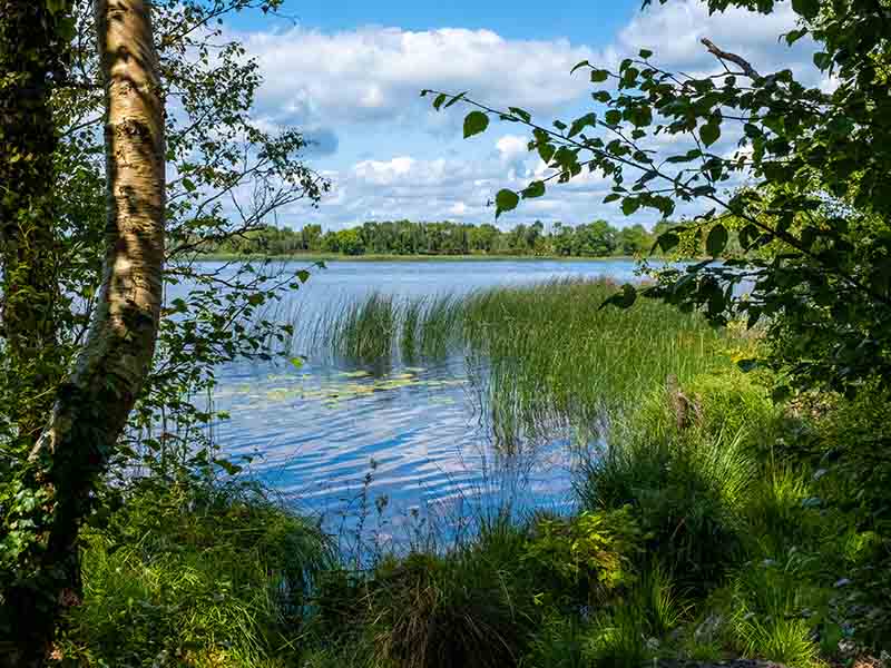 Discovering The River Shannon Wilderness Ireland discovering-the-river-shannon-wilderness-ireland