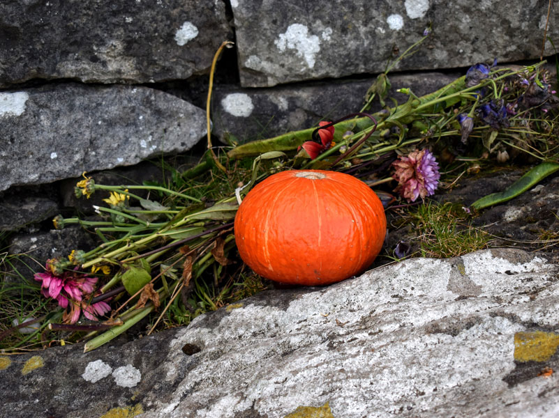 pumpkin Ireland Halloween