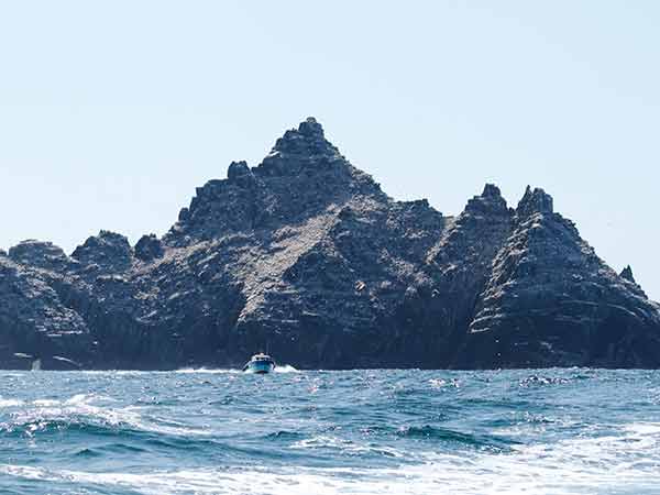 Skellig boat with gannets on Skellig islands.