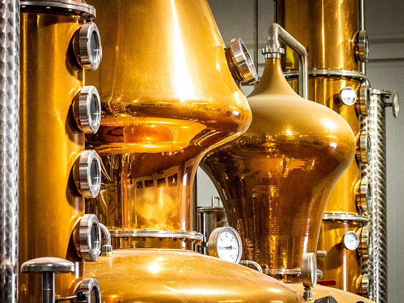 Guide to Irish Gins Wilderness Ireland