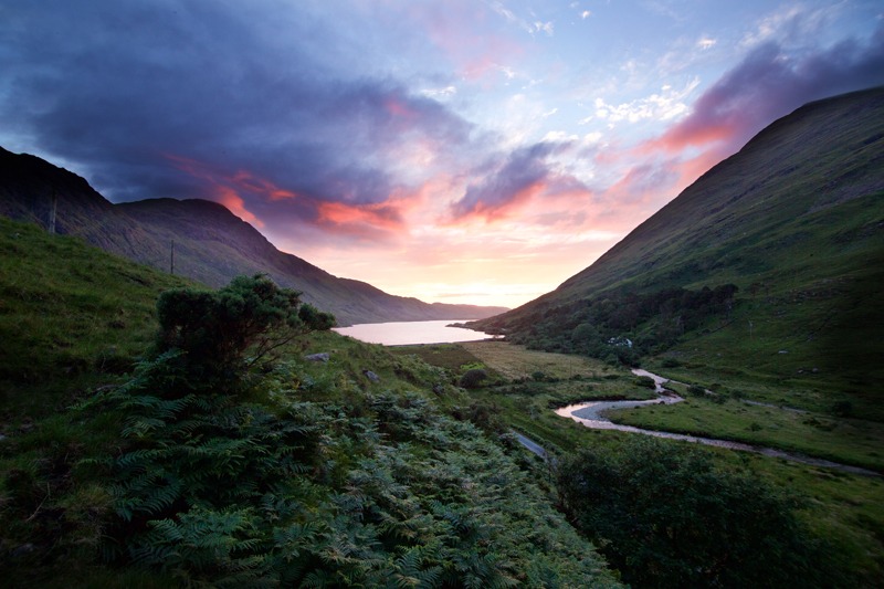 Spring in Ireland All you need to know Wilderness Ireland