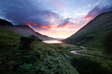 Springtime In Ireland Spring in Ireland | All you need to know | Wilderness Ireland
