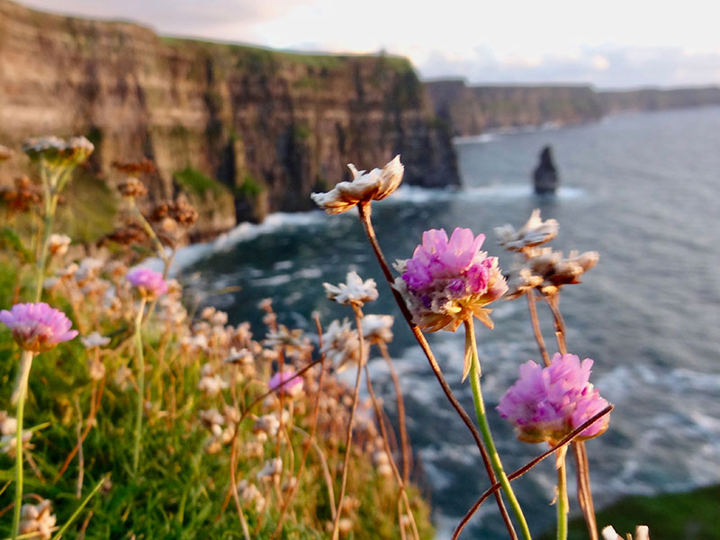 Cliffs Of Moher