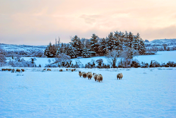 Winter in Ireland, All you need to know