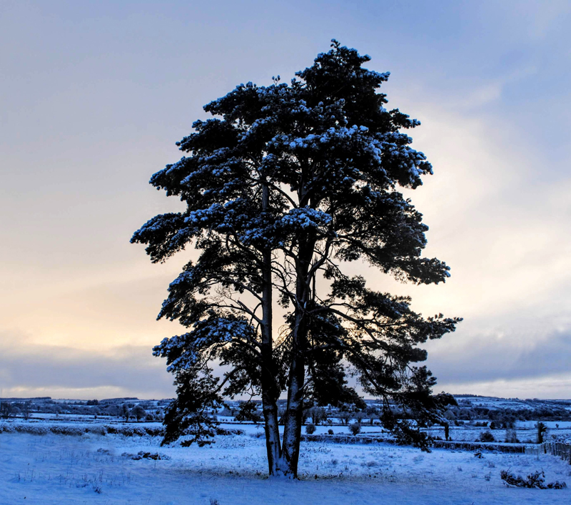 Winter in Ireland, All you need to know